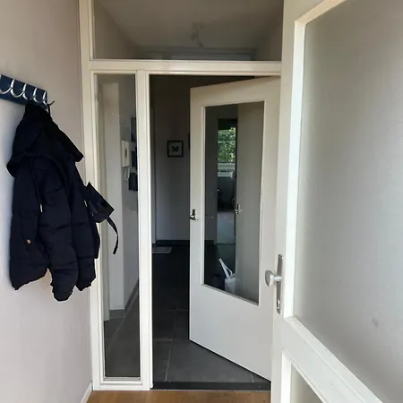Apartment Spacious In A Shared In *