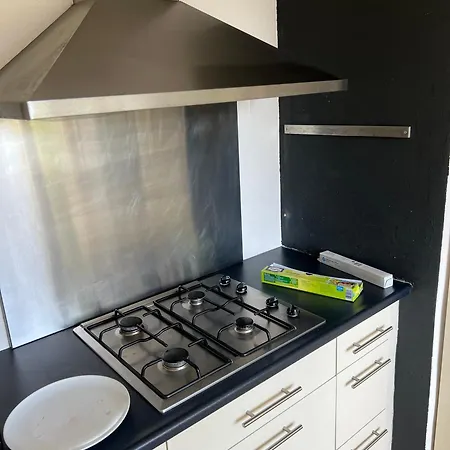 Spacious In A Shared In Apartment